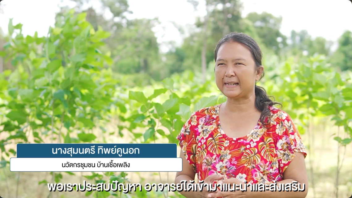 โครงการการเพิ่มประสิทธิภาพการผลิตใบหม่อนและรังไหม