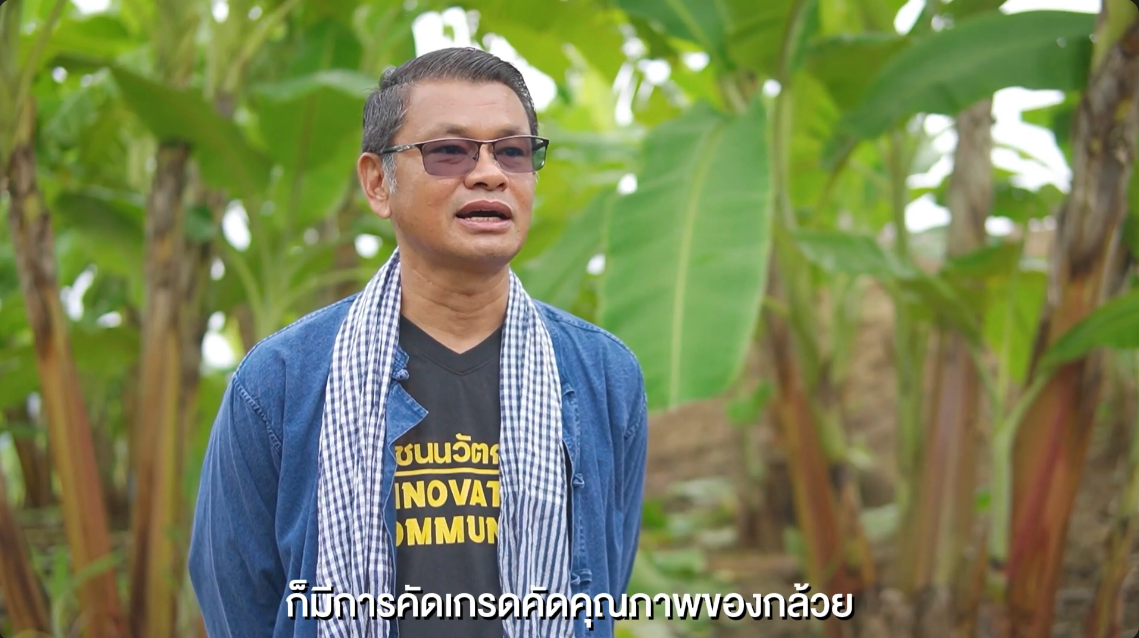 LIP เครือข่ายวิสาหกิจชุมชนก้าวหน้ากล้วยน้ำว้าครบวงจร อำเภอแม่สอด จังหวัดตาก