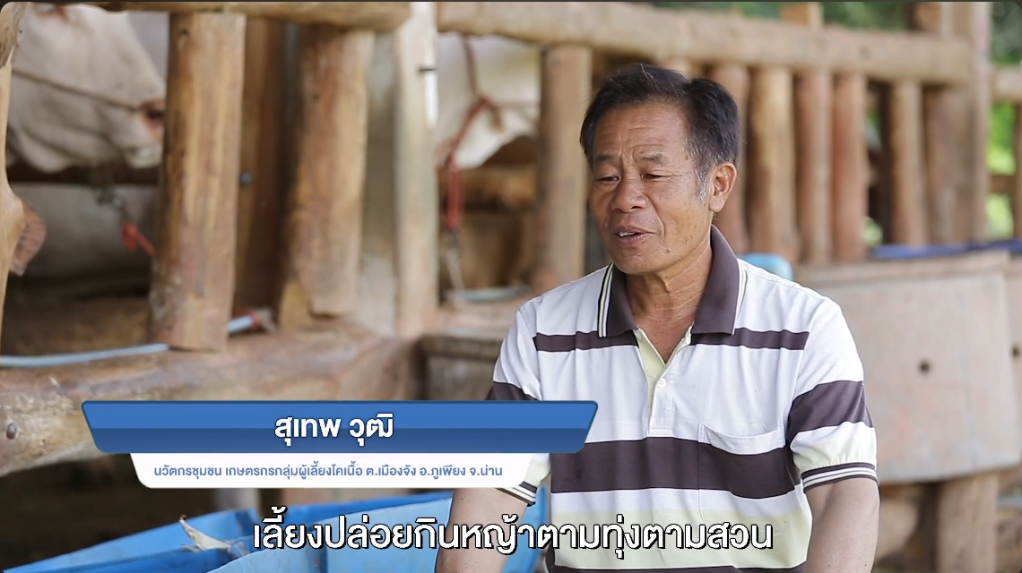 อาหารโคการพัฒนาสมรรถนะของเกษตรกร อาหารโคขุน