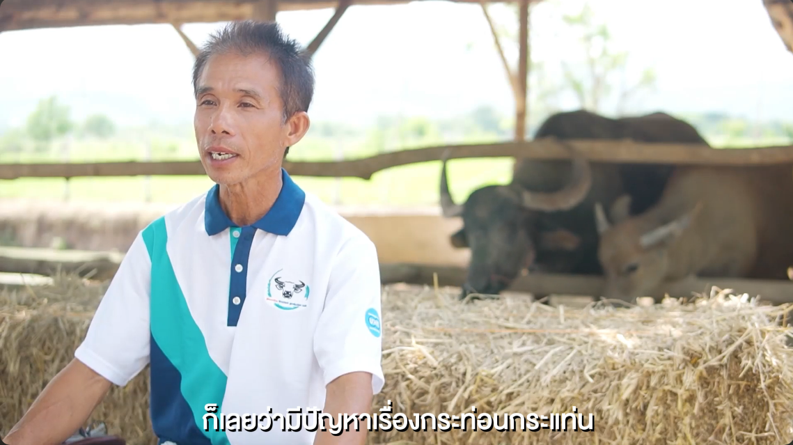 การพัฒนาเครือข่ายชุมชนนวัตกรรรมกระบือคุณภาพ ด้านการจัดการอาหาร